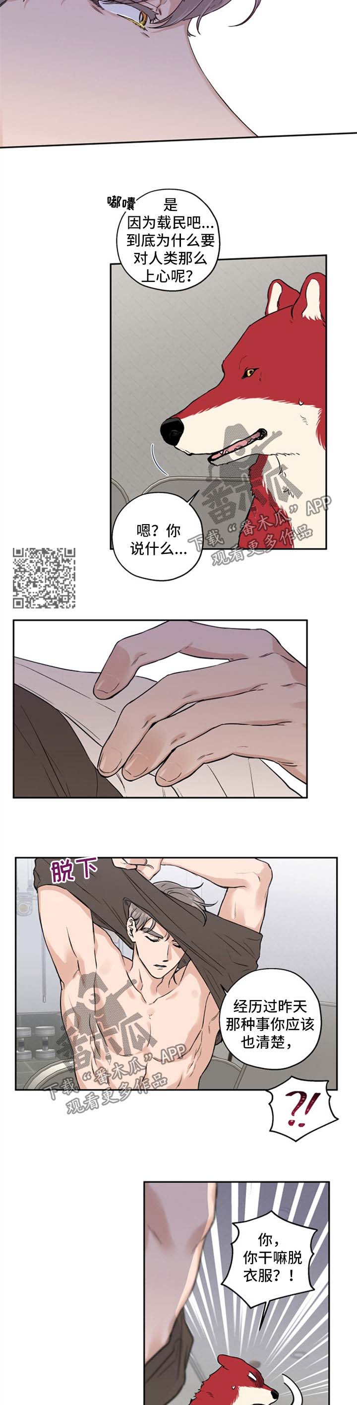 《赤狼》漫画最新章节第34章：不如我们俩试试免费下拉式在线观看章节第【3】张图片