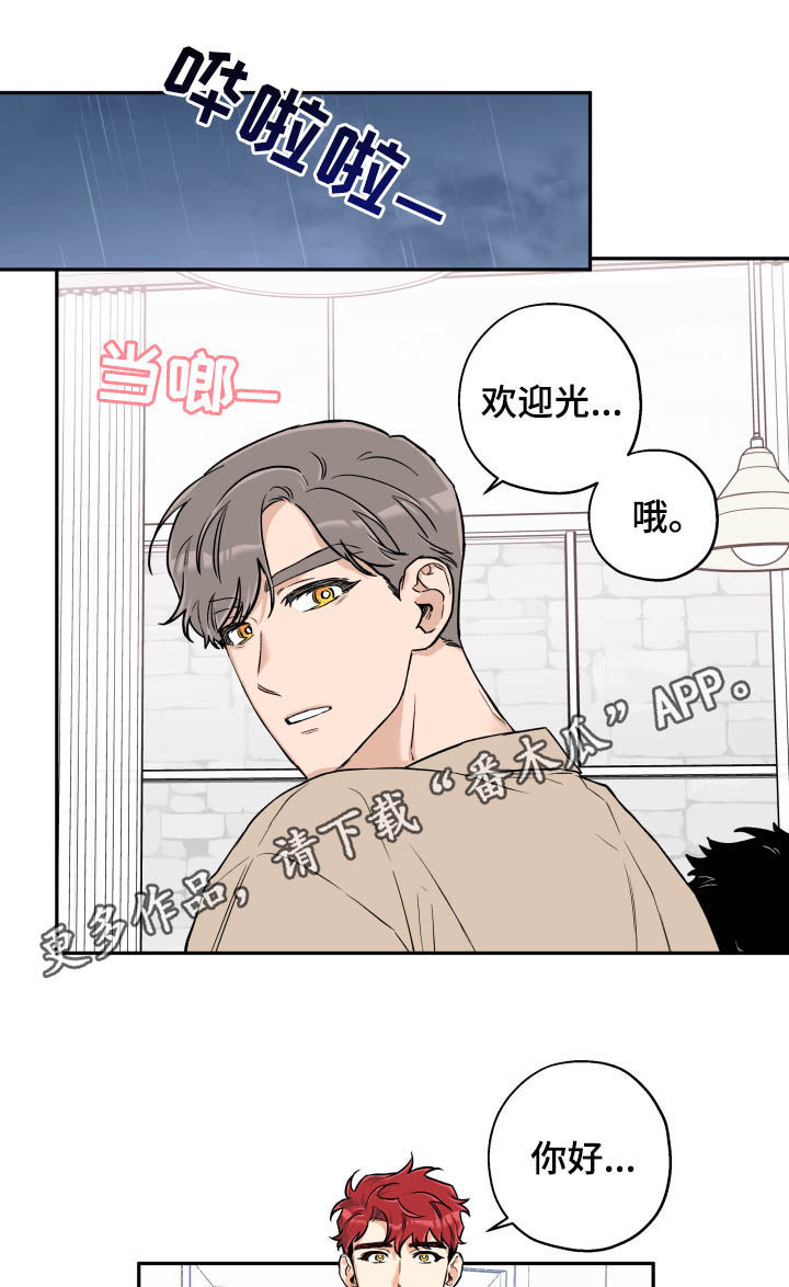 《赤狼》漫画最新章节第64章：无情免费下拉式在线观看章节第【13】张图片