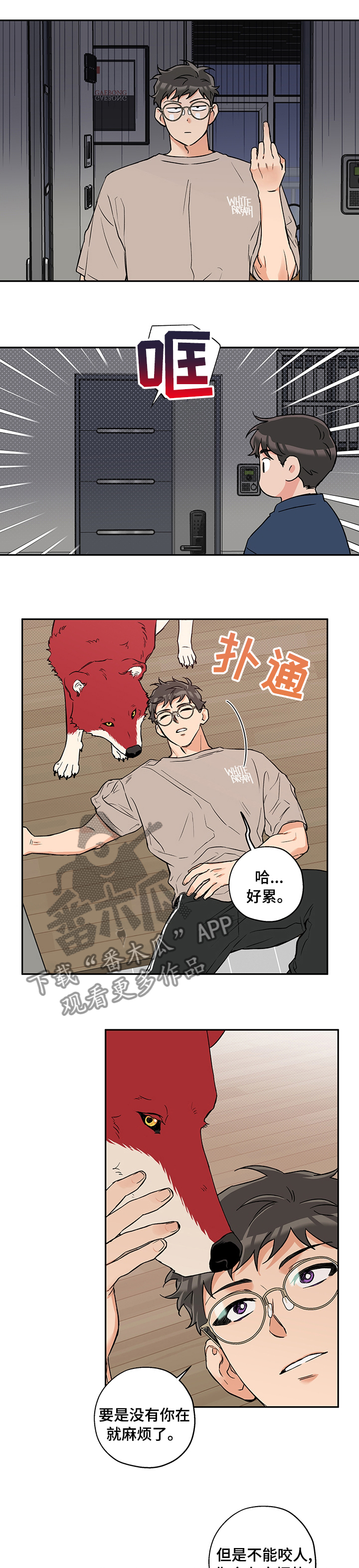 《赤狼》漫画最新章节第78章：微妙免费下拉式在线观看章节第【5】张图片