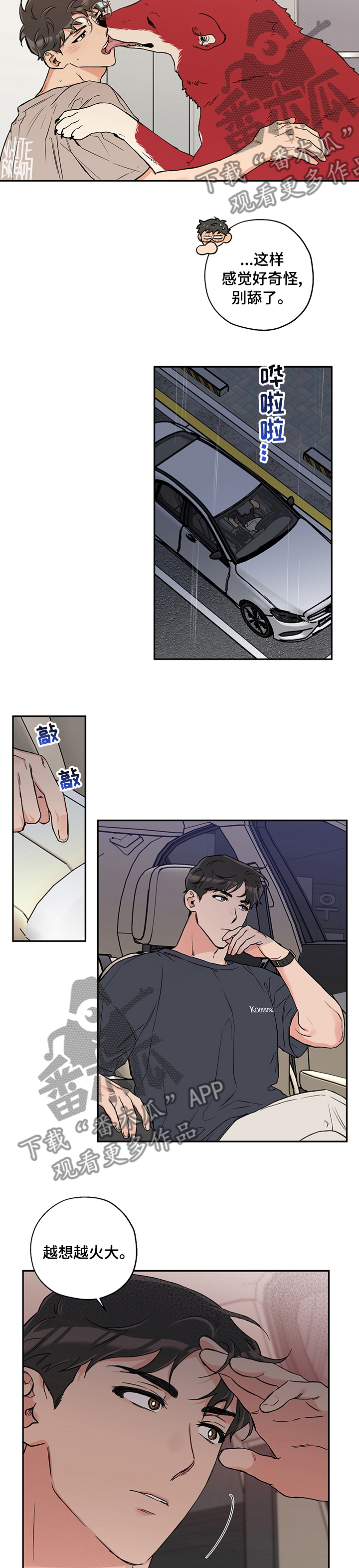 《赤狼》漫画最新章节第78章：微妙免费下拉式在线观看章节第【2】张图片