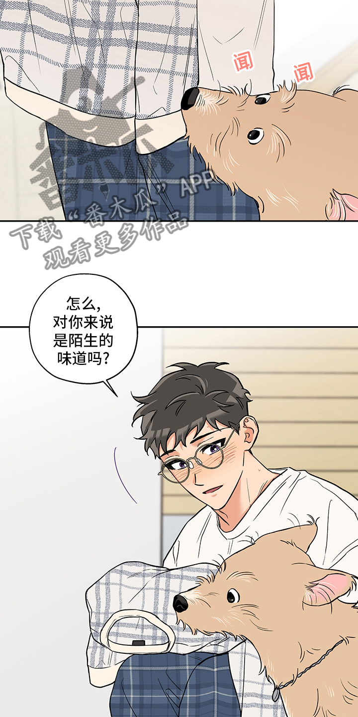 《赤狼》漫画最新章节第90章：味道免费下拉式在线观看章节第【4】张图片