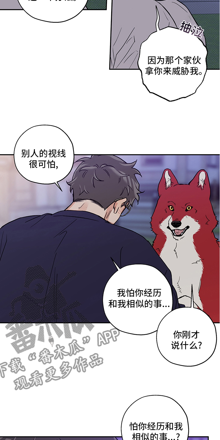 《赤狼》漫画最新章节第94章：不要抛弃我免费下拉式在线观看章节第【7】张图片