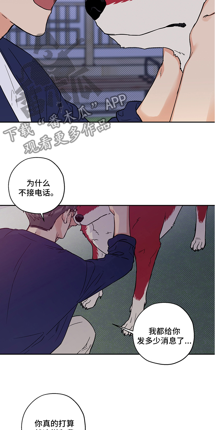 《赤狼》漫画最新章节第94章：不要抛弃我免费下拉式在线观看章节第【12】张图片