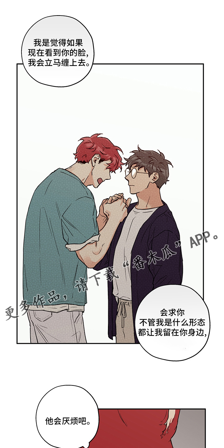 《赤狼》漫画最新章节第94章：不要抛弃我免费下拉式在线观看章节第【18】张图片