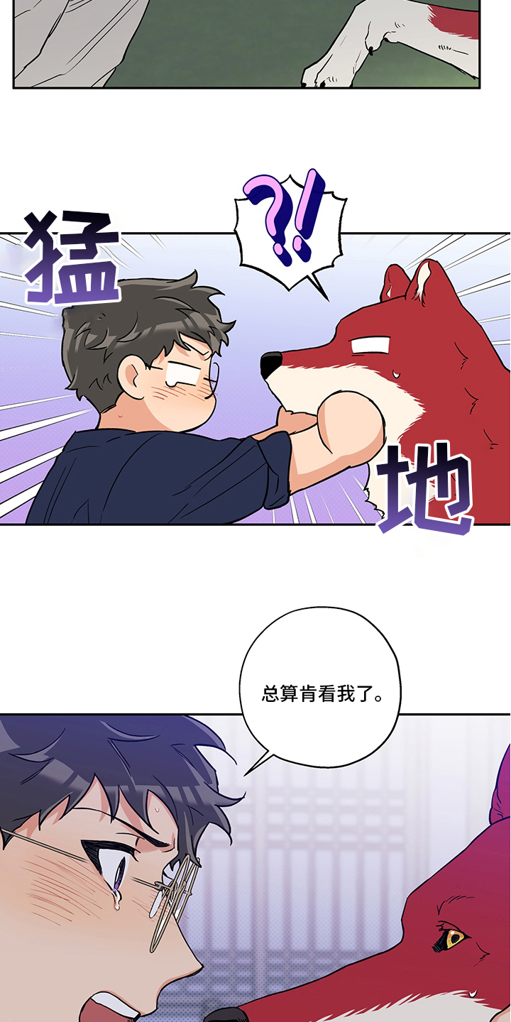 《赤狼》漫画最新章节第94章：不要抛弃我免费下拉式在线观看章节第【13】张图片