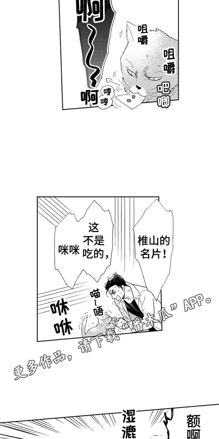 《宝贝不要淘气》漫画最新章节第6章：名片没了免费下拉式在线观看章节第【10】张图片