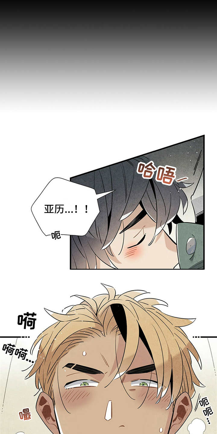 《帕鲁斯旅馆》漫画最新章节第12章：特效药免费下拉式在线观看章节第【8】张图片