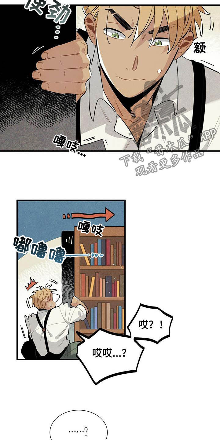 《帕鲁斯旅馆》漫画最新章节第23章：密室免费下拉式在线观看章节第【7】张图片