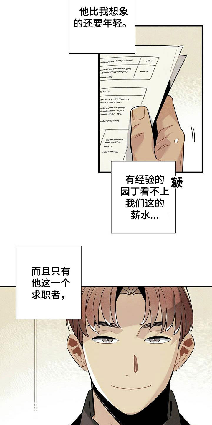 《帕鲁斯旅馆》漫画最新章节第28章：录用免费下拉式在线观看章节第【15】张图片