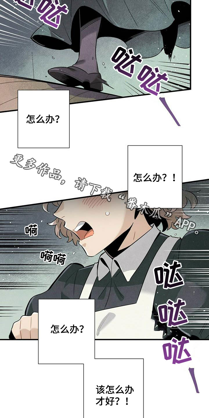 《帕鲁斯旅馆》漫画最新章节第50章：菜鸟老板免费下拉式在线观看章节第【2】张图片