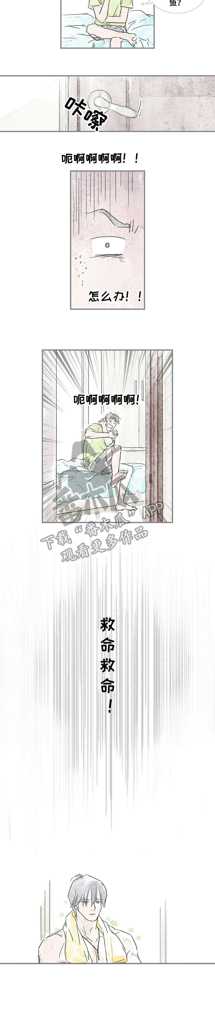 《海豚教练》漫画最新章节第14章：担心免费下拉式在线观看章节第【3】张图片