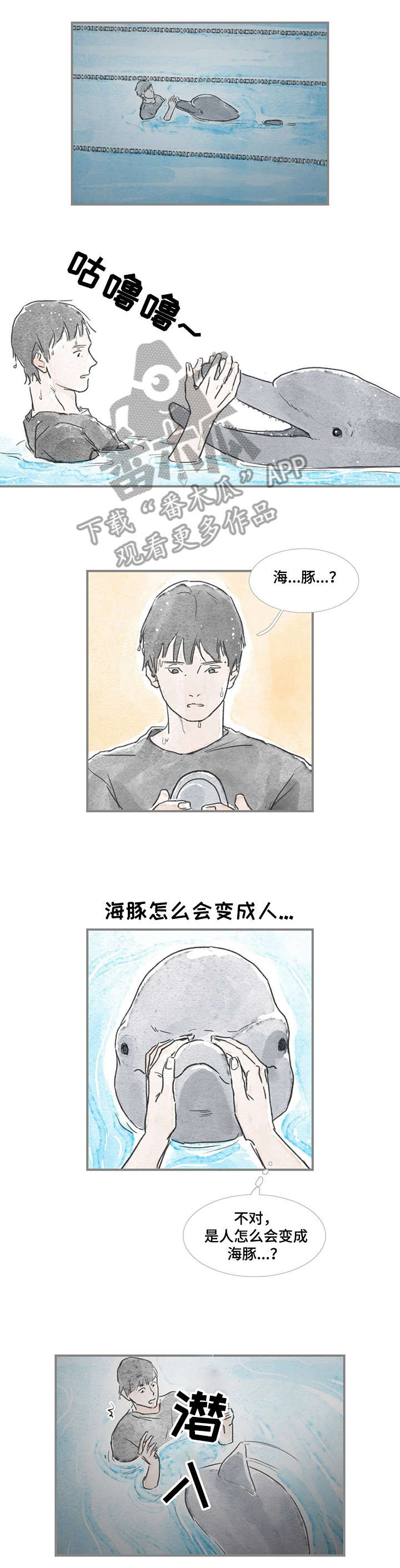 《海豚教练》漫画最新章节第15章：海豚免费下拉式在线观看章节第【2】张图片