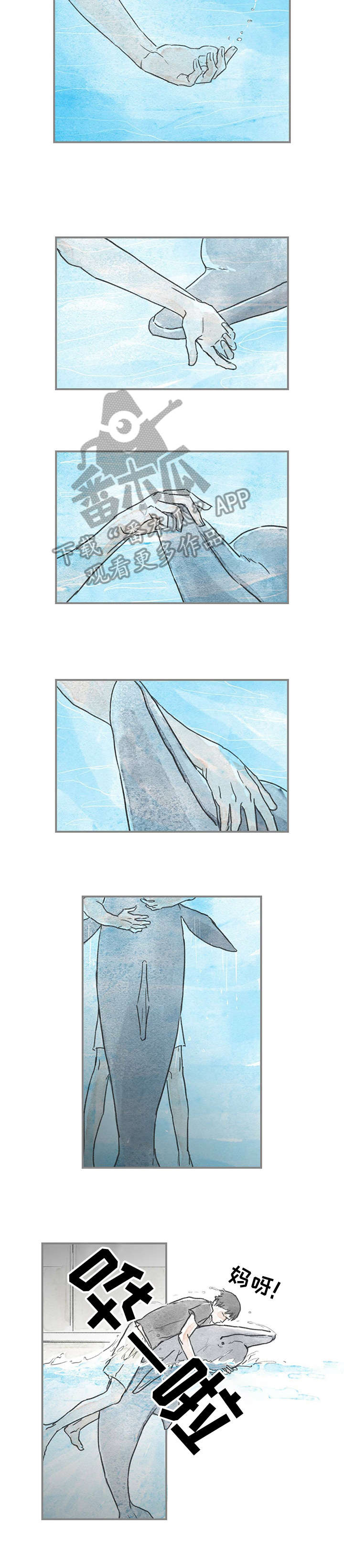 海豚教练-第16章：好奇全彩韩漫标签