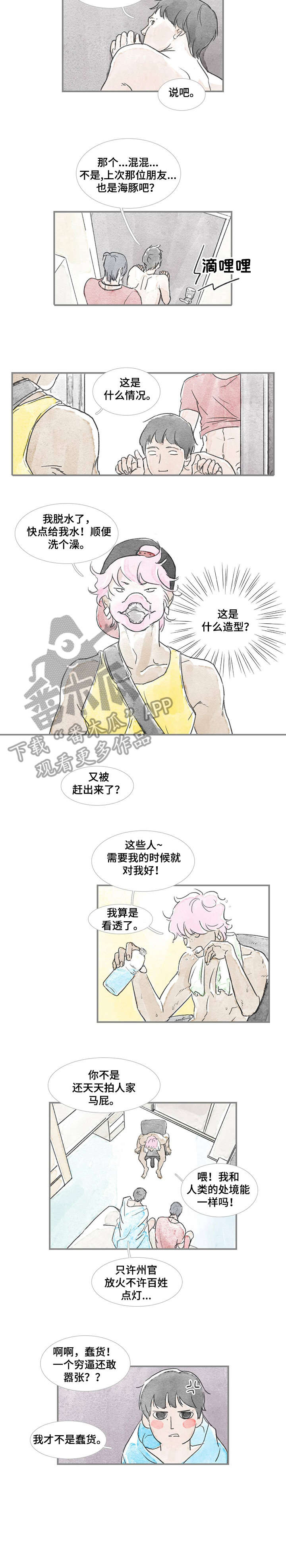 《海豚教练》漫画最新章节第17章：刚才免费下拉式在线观看章节第【3】张图片