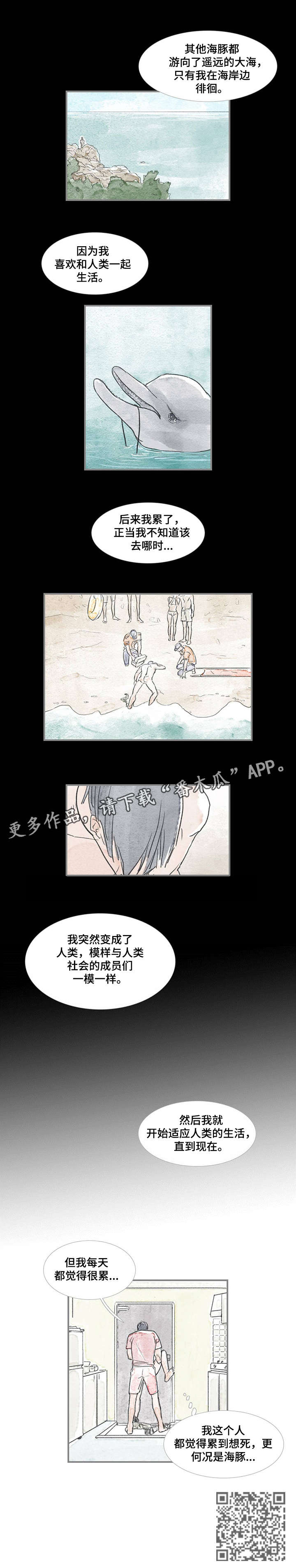 《海豚教练》漫画最新章节第17章：刚才免费下拉式在线观看章节第【5】张图片