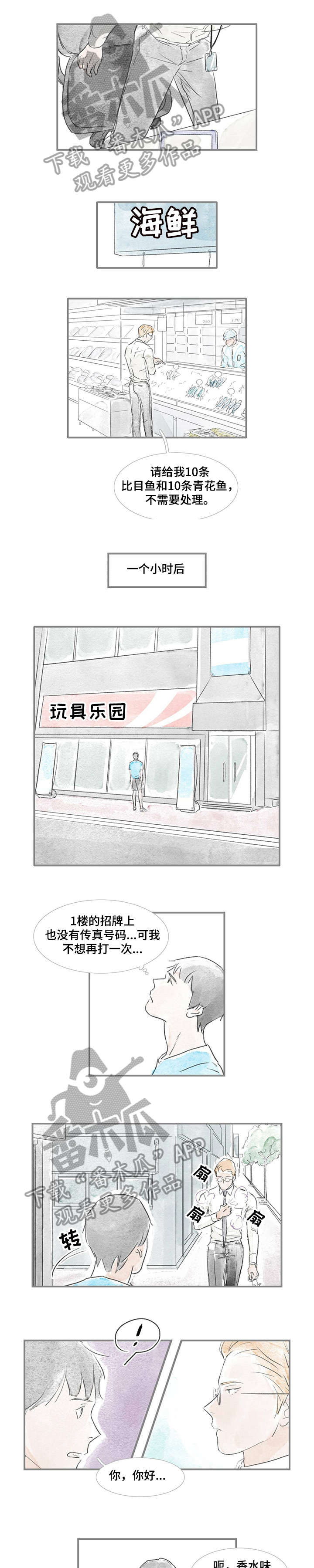 《海豚教练》漫画最新章节第21章：没打算免费下拉式在线观看章节第【6】张图片