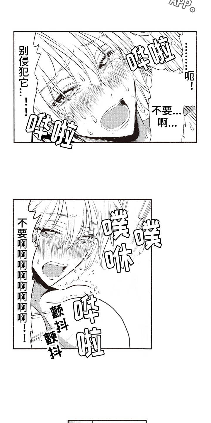 《橄榄球团宠》漫画最新章节第11章：毛笔免费下拉式在线观看章节第【8】张图片