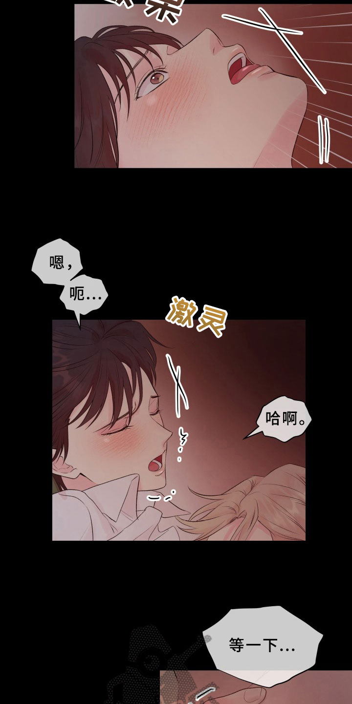 《掌中玫瑰》漫画最新章节第12章：重要的事免费下拉式在线观看章节第【19】张图片