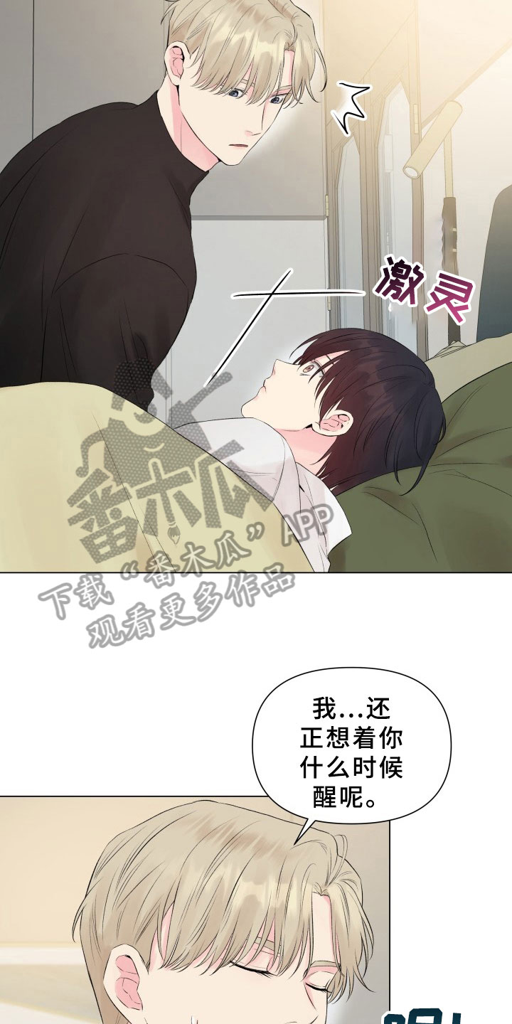 《掌中玫瑰》漫画最新章节第13章：考虑免费下拉式在线观看章节第【19】张图片