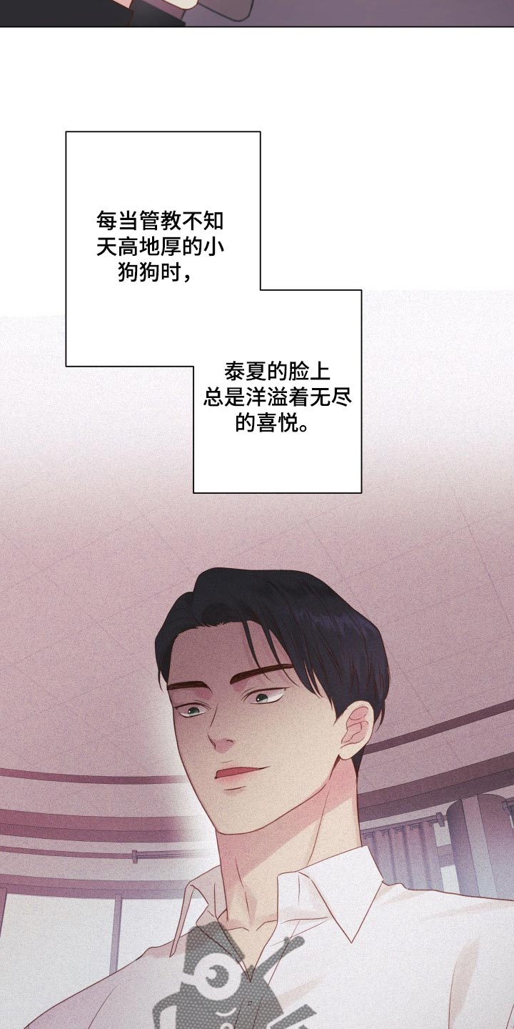 《掌中玫瑰》漫画最新章节第20章：碍眼免费下拉式在线观看章节第【5】张图片