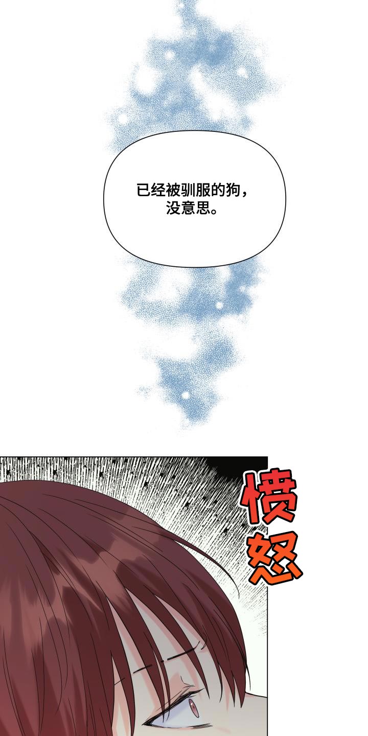 《掌中玫瑰》漫画最新章节第103章：【第二季】慈善家免费下拉式在线观看章节第【19】张图片