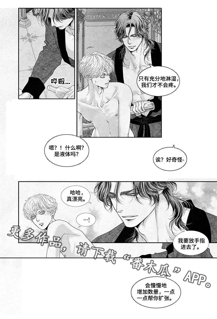 《剑与火焰》漫画最新章节第40章：不管了免费下拉式在线观看章节第【1】张图片