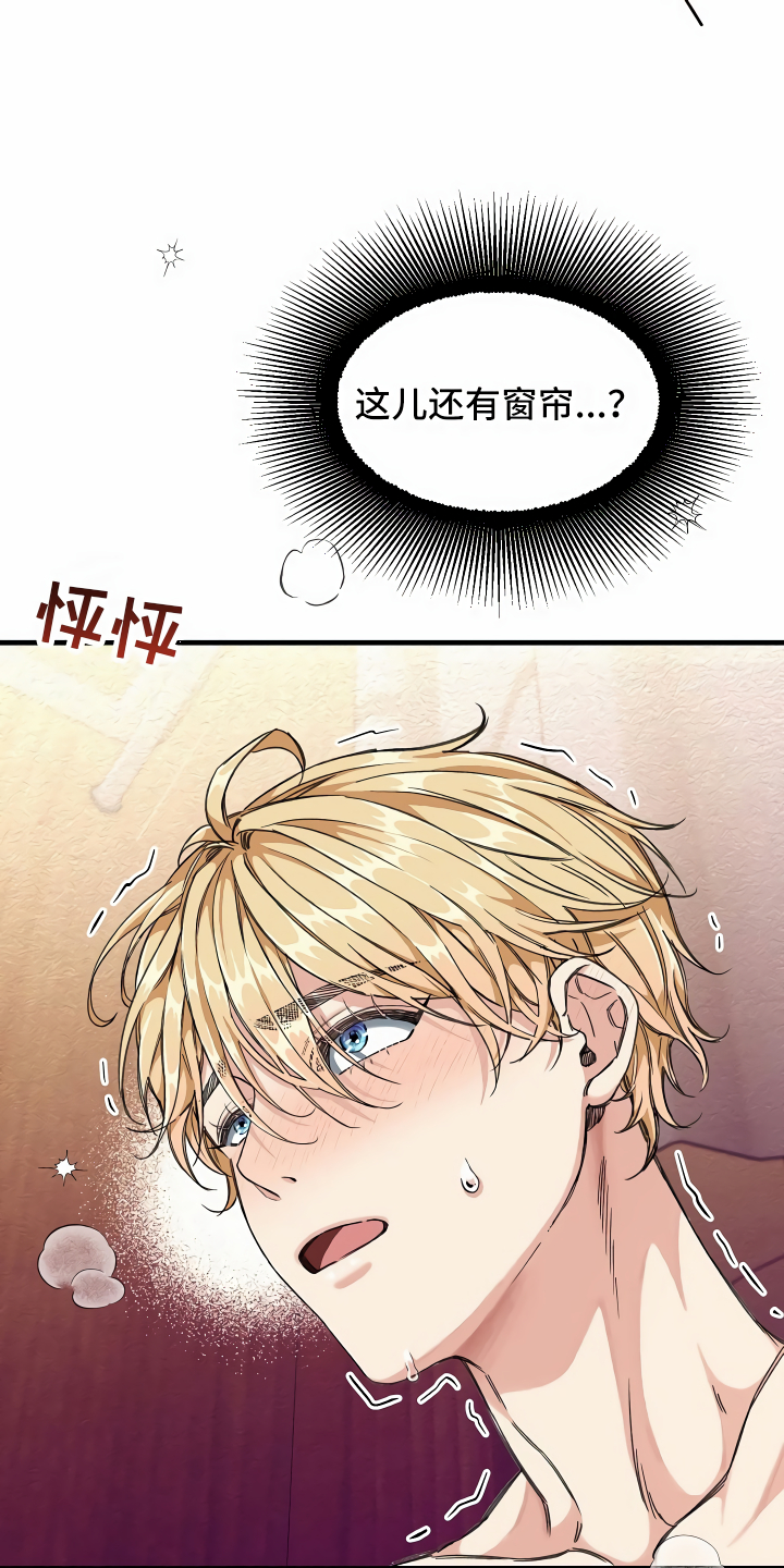 《绝望列车》漫画最新章节第5章：拉上窗帘免费下拉式在线观看章节第【4】张图片