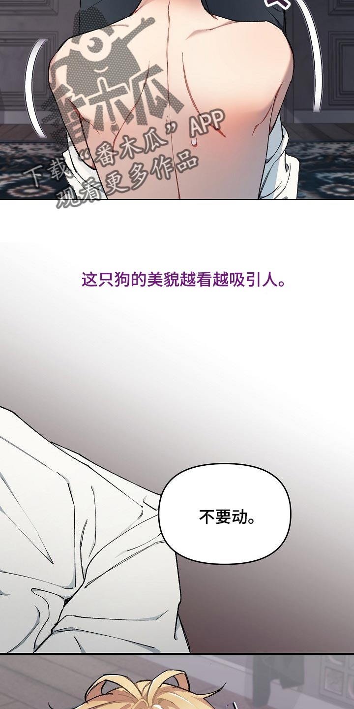 《绝望列车》漫画最新章节第59章：【第二季】不错的选择免费下拉式在线观看章节第【6】张图片