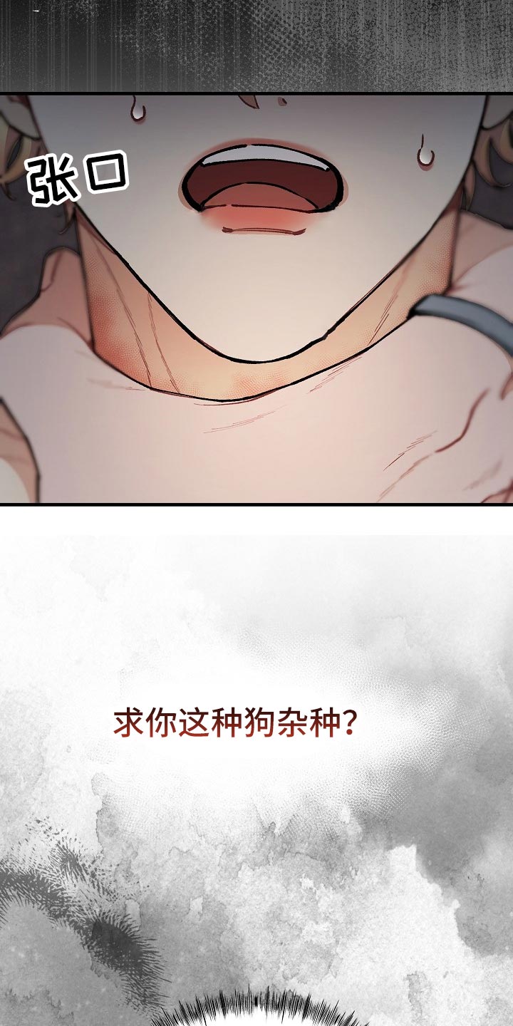 《绝望列车》漫画最新章节第63章：【第二季】最后的挣扎和机会免费下拉式在线观看章节第【13】张图片