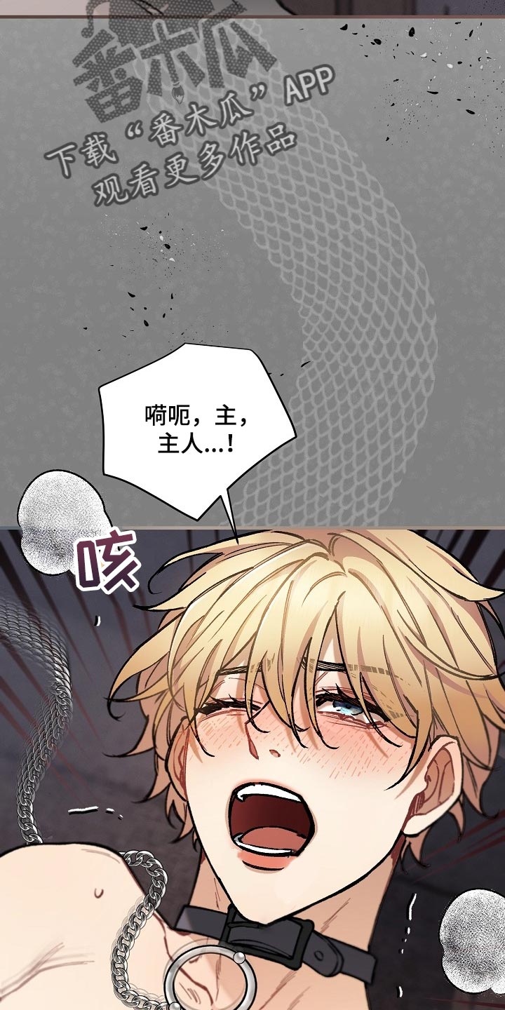 《绝望列车》漫画最新章节第64章：【第二季】正式开始免费下拉式在线观看章节第【14】张图片