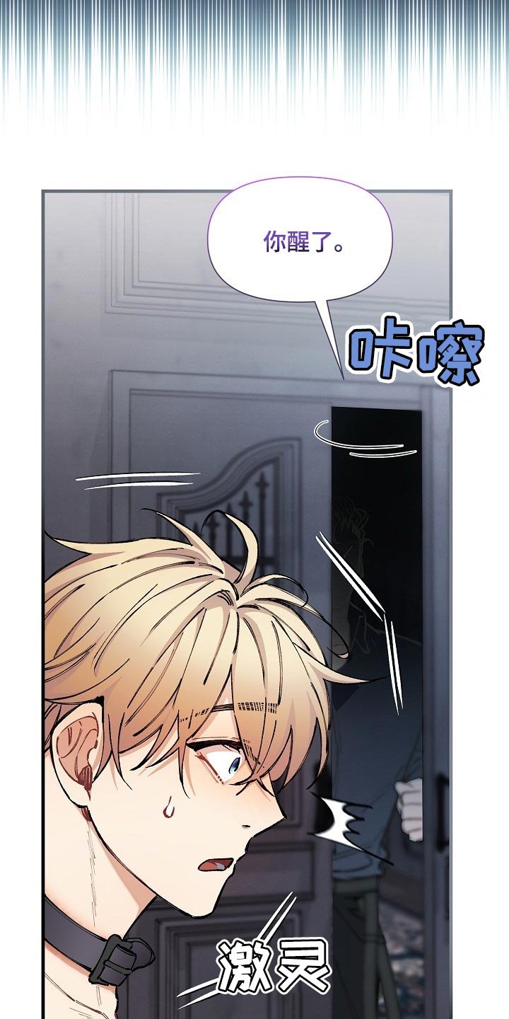 《绝望列车》漫画最新章节第68章：【第二季】毕竟是市场免费下拉式在线观看章节第【7】张图片