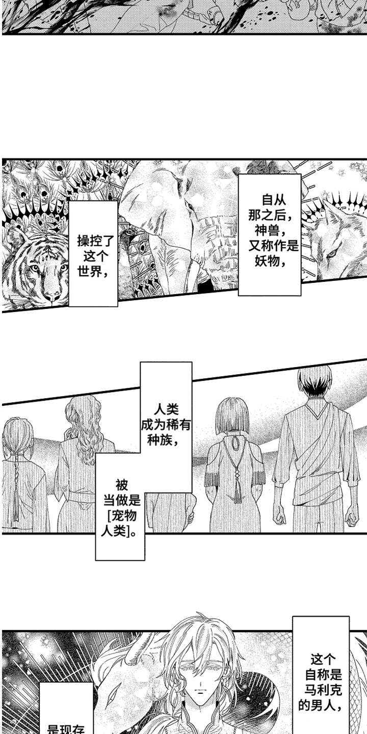 《神兽宠儿》漫画最新章节第2章：宠物免费下拉式在线观看章节第【14】张图片