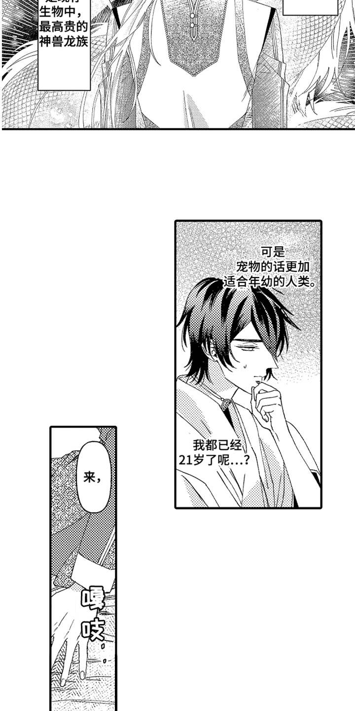 《神兽宠儿》漫画最新章节第2章：宠物免费下拉式在线观看章节第【13】张图片