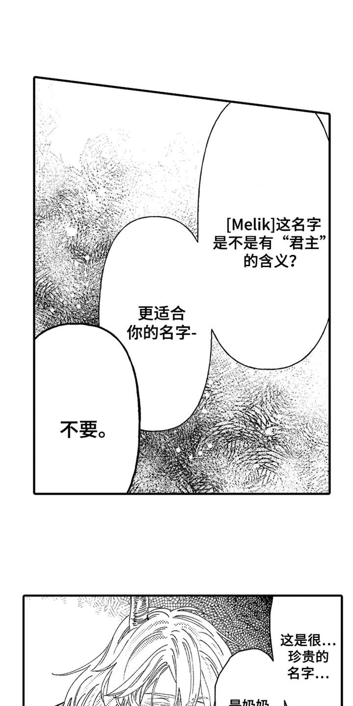 《神兽宠儿》漫画最新章节第3章：不听话免费下拉式在线观看章节第【12】张图片