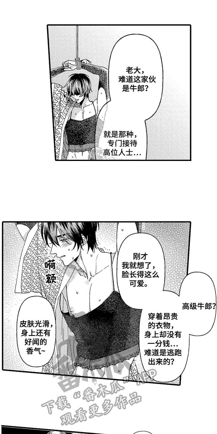 《神兽宠儿》漫画最新章节第19章：搜寻免费下拉式在线观看章节第【15】张图片