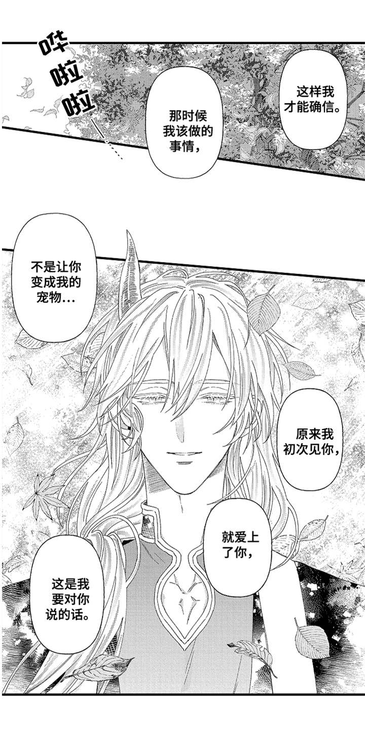 《神兽宠儿》漫画最新章节第26章：心意免费下拉式在线观看章节第【9】张图片