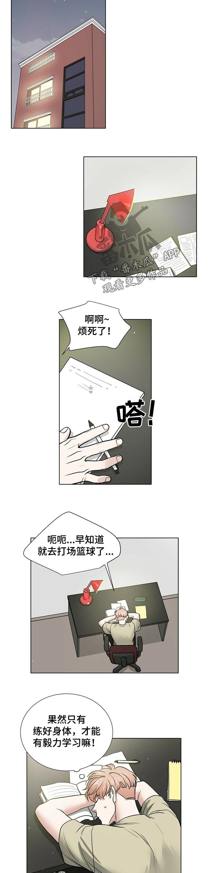 《越界恋情》漫画最新章节第39章：复习免费下拉式在线观看章节第【6】张图片