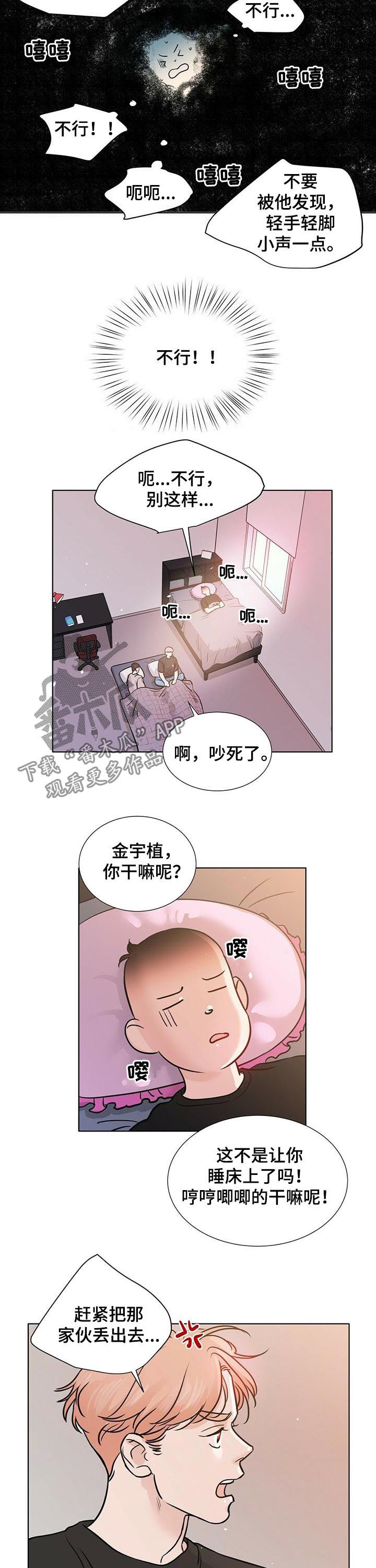 《越界恋情》漫画最新章节第42章：噩梦免费下拉式在线观看章节第【5】张图片