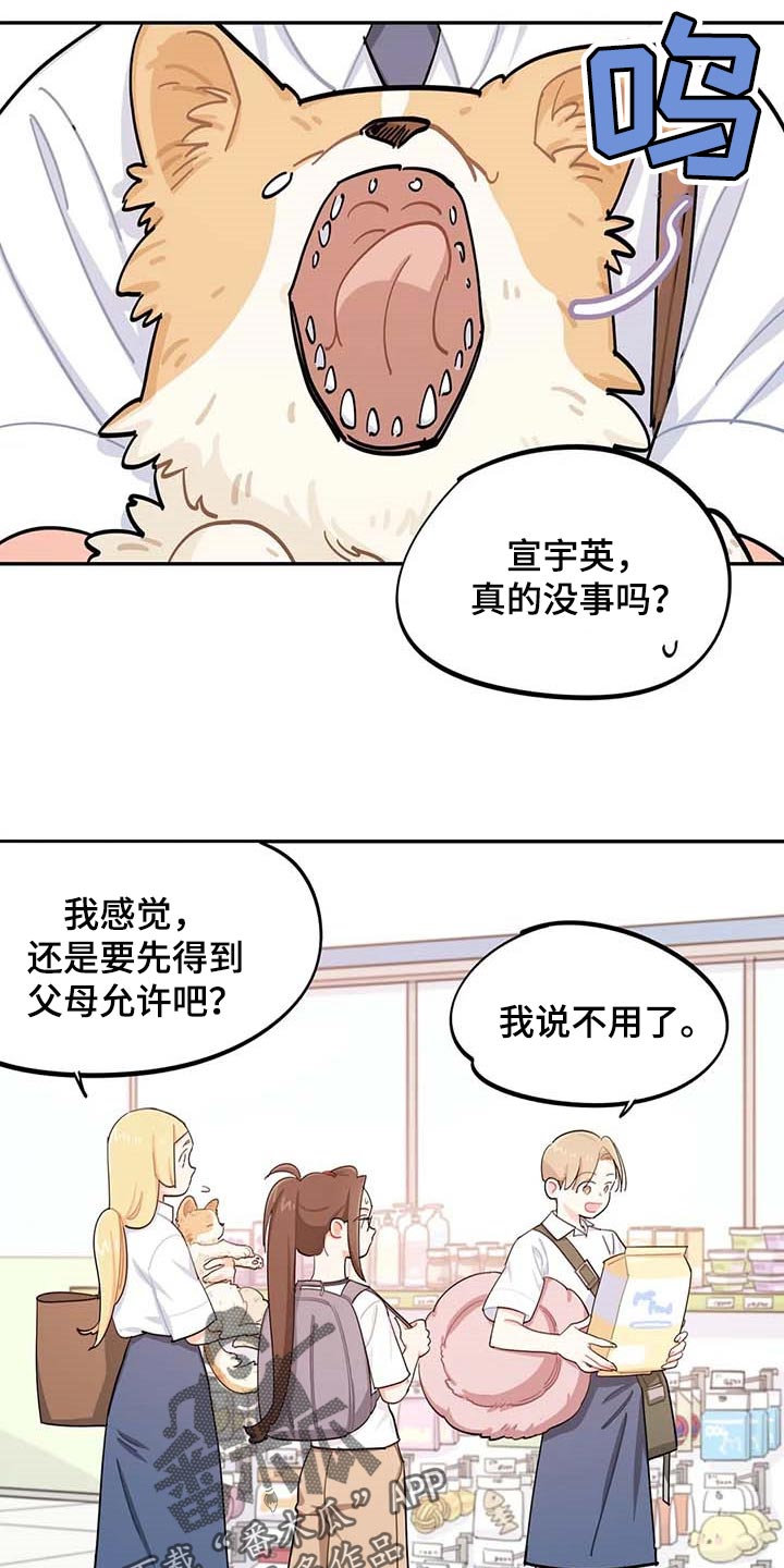 《校园之星》漫画最新章节第39章：有急事！免费下拉式在线观看章节第【4】张图片