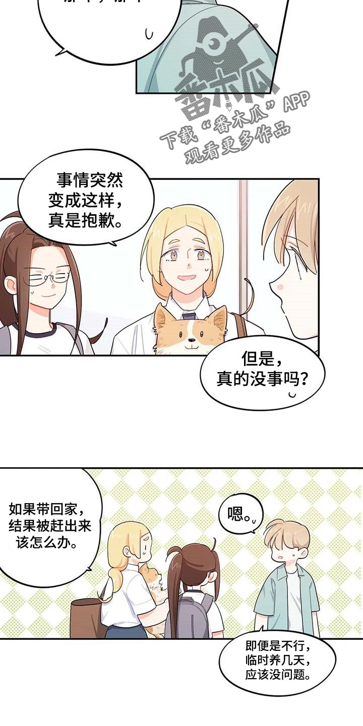 《校园之星》漫画最新章节第40章：烦人免费下拉式在线观看章节第【4】张图片