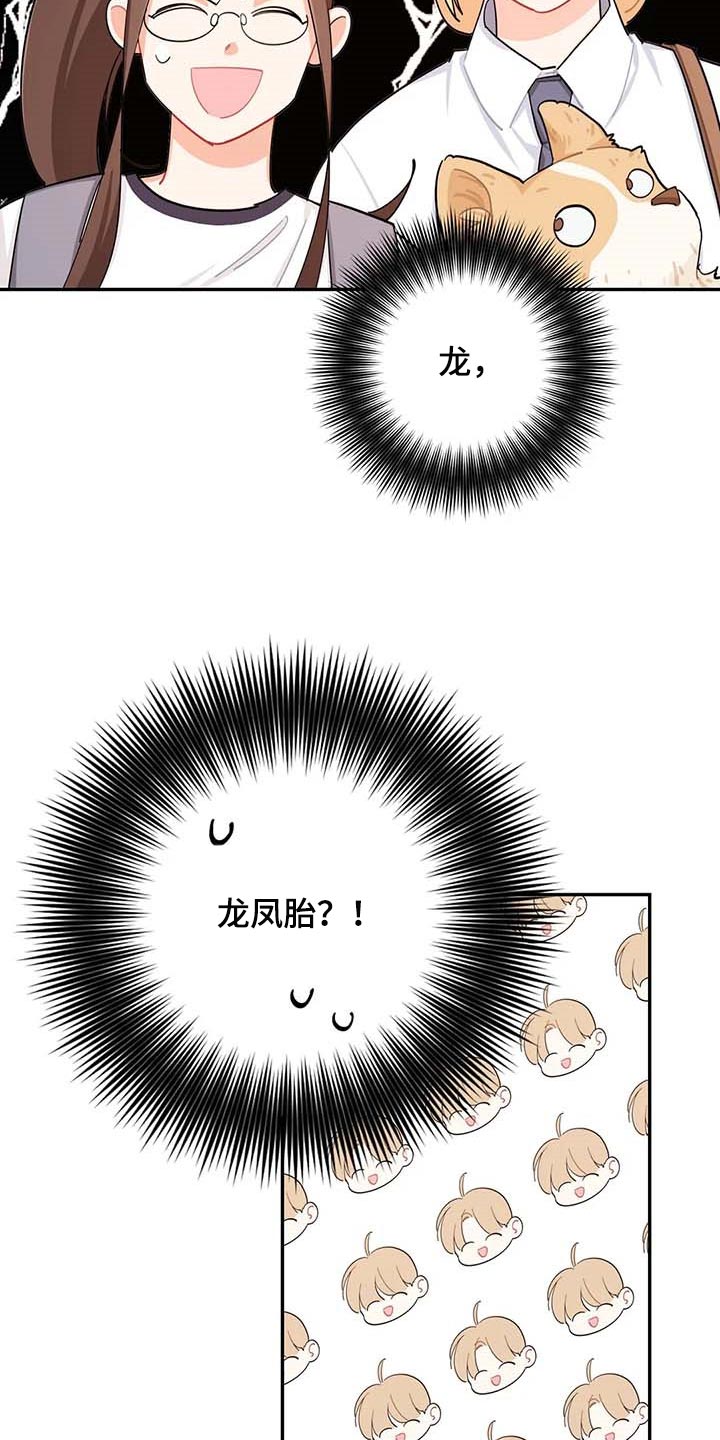 《校园之星》漫画最新章节第40章：烦人免费下拉式在线观看章节第【10】张图片