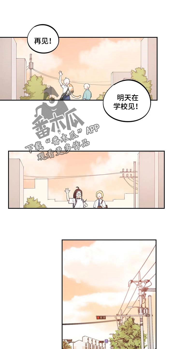 《校园之星》漫画最新章节第41章：我会负责照顾免费下拉式在线观看章节第【12】张图片