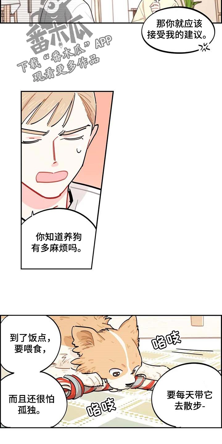 《校园之星》漫画最新章节第41章：我会负责照顾免费下拉式在线观看章节第【6】张图片