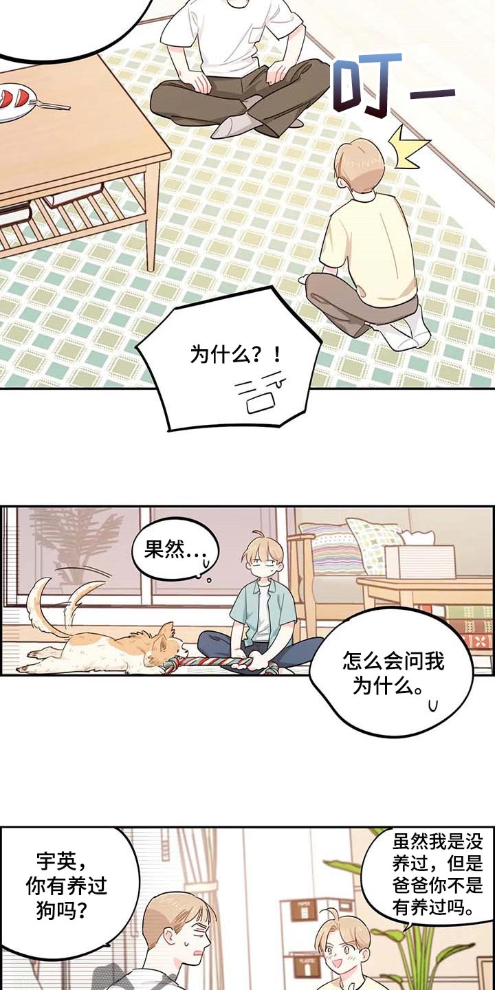 《校园之星》漫画最新章节第41章：我会负责照顾免费下拉式在线观看章节第【7】张图片