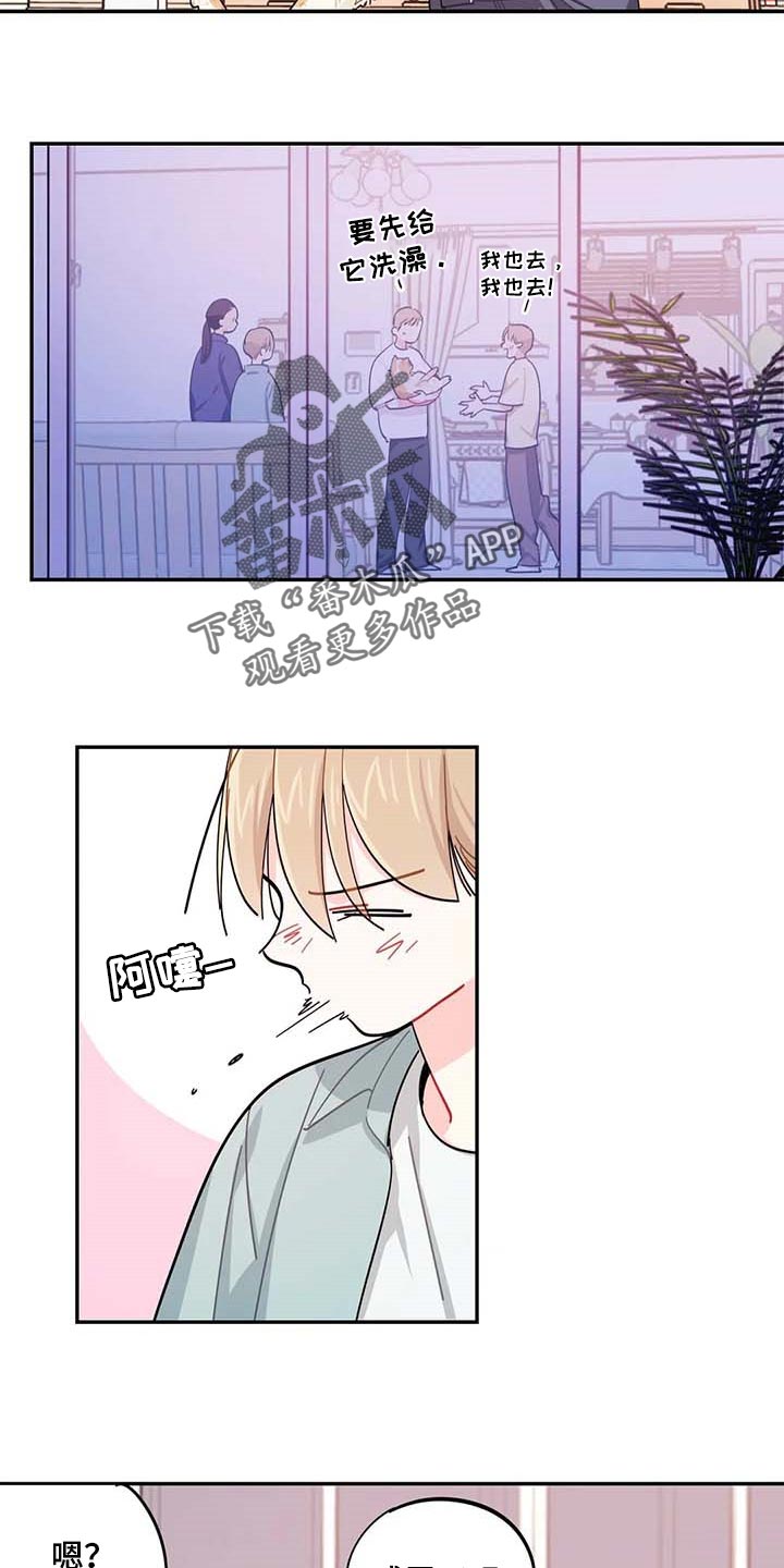 《校园之星》漫画最新章节第42章：被整了免费下拉式在线观看章节第【3】张图片