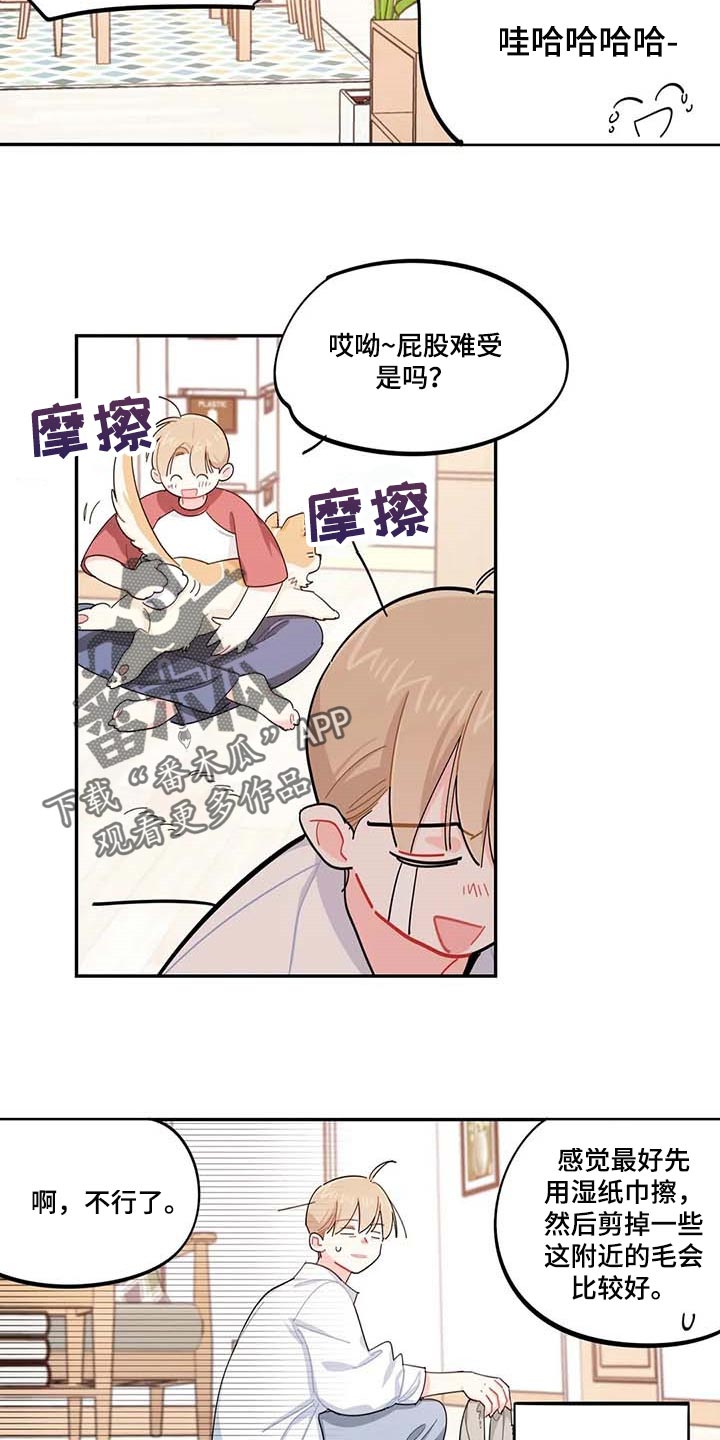 《校园之星》漫画最新章节第43章：百分百过敏免费下拉式在线观看章节第【4】张图片