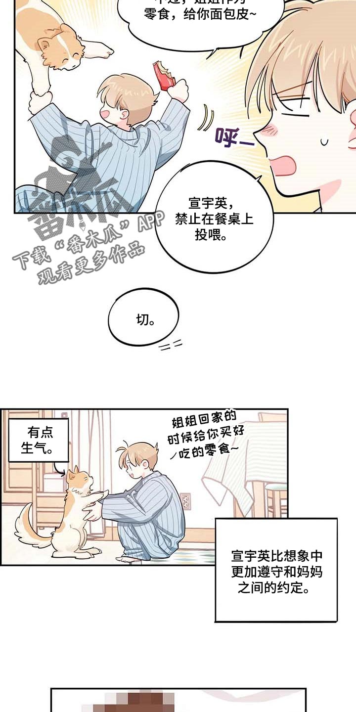 《校园之星》漫画最新章节第43章：百分百过敏免费下拉式在线观看章节第【10】张图片