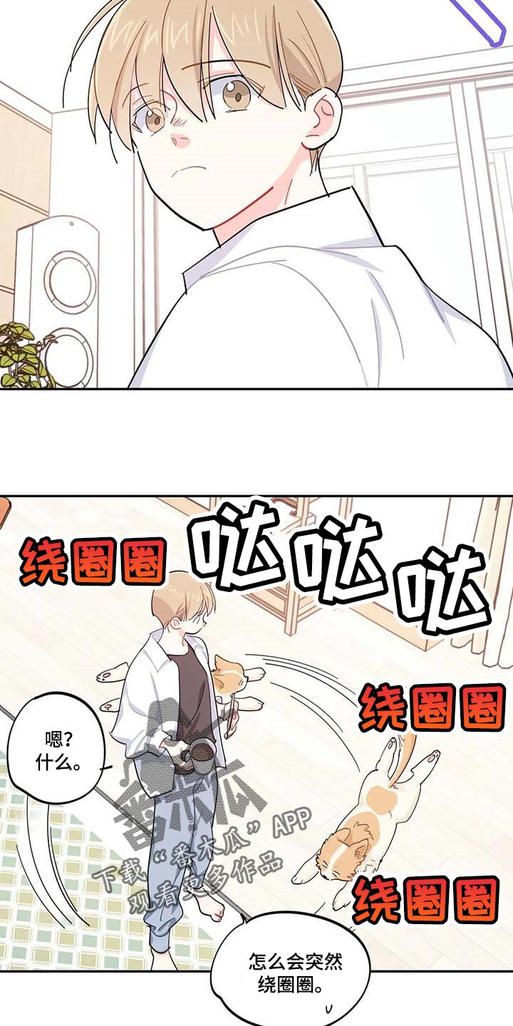 《校园之星》漫画最新章节第43章：百分百过敏免费下拉式在线观看章节第【7】张图片