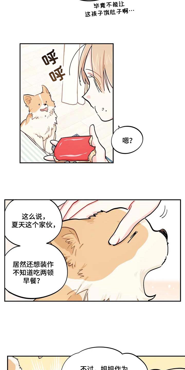 《校园之星》漫画最新章节第43章：百分百过敏免费下拉式在线观看章节第【11】张图片