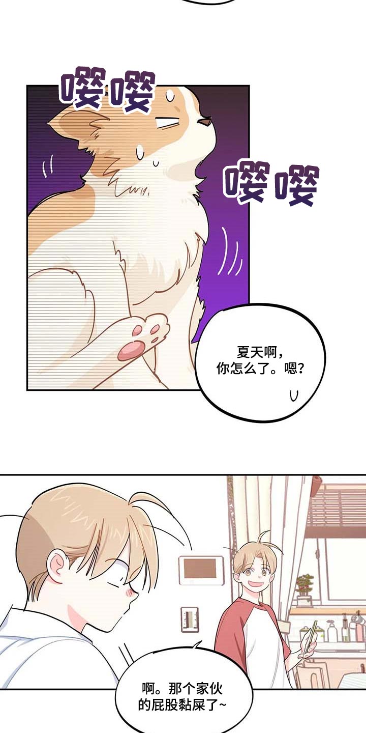 《校园之星》漫画最新章节第43章：百分百过敏免费下拉式在线观看章节第【6】张图片